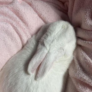 ♡